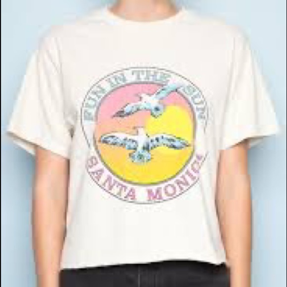J. Galt Brandy Melville Fun In the Sun Santa Monica Crop Tops | Great Quality
